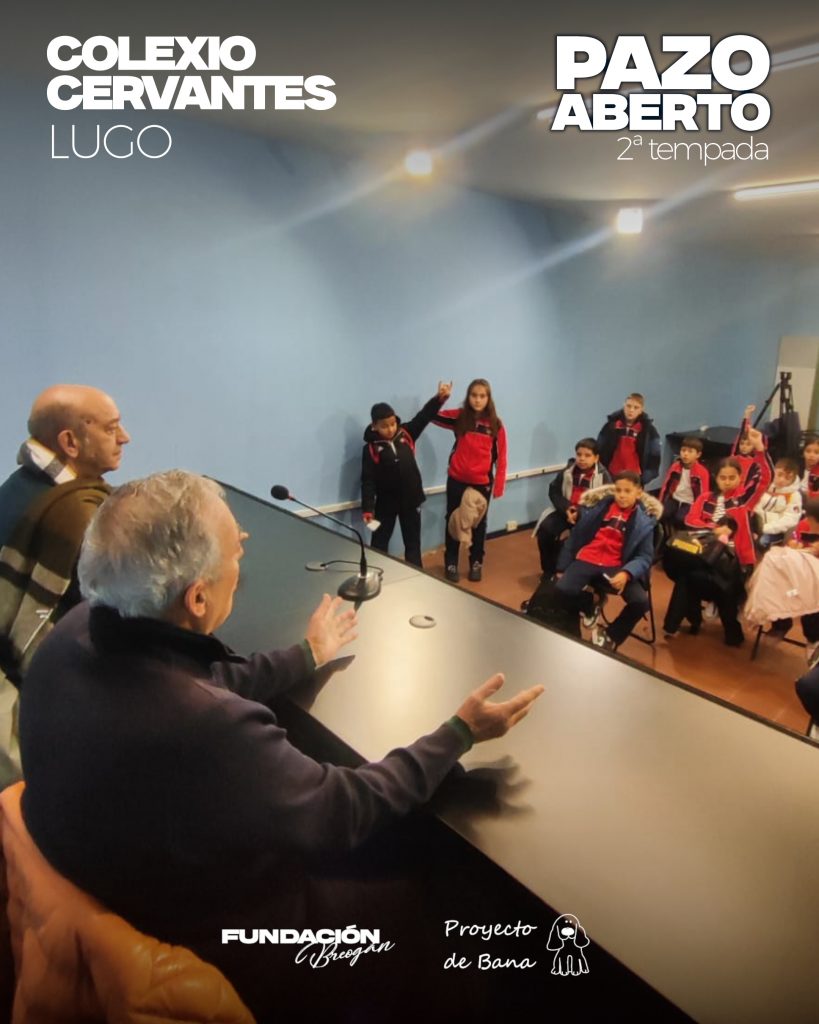 06COLEXIO CERVANTES CARRUSEL3